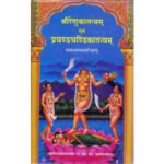 श्रीरेणुकातनन्त्रम् एवं प्रचण्डचण्डिकातन्त्रम्/ Shree Renuka Tantram yebam Prachand Chandika Tantram