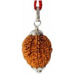 2 Mukhi Rudraksha – Silver Cap