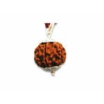 2 Mukhi Rudraksha Special Round Shape Locket