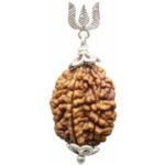 2 Mukhi Rudraksha- Silver Trishul