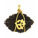 2 Mukhi Rudraksha- Brass OM