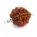 2 Mukhi Rudraksha – Silver Hook