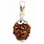 3 Mukhi Rudraksha