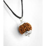 3 mukhi Rudraksha