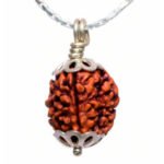 3 Mukhi Rudraksha – With silver chain