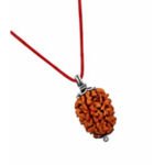 3 Mukhi Rudraksha