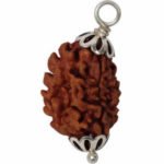 3 Mukhi Rudraksha