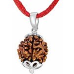 3 Mukhi Rudraksha