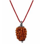 3 Mukhi Rudraksha