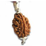 2 Mukhi Rudraksha – Pendant