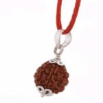 2 Mukhi Rudraksha -Special Round Shape