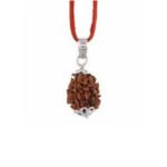 2 Mukhi Rudraksha