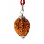 2 Mukhi Rudraksha