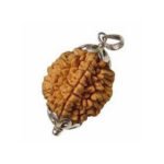 2 Mukhi Rudraksha- Silver Pendant