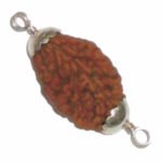 2 Mukhi Rudraksha- Silver Cap