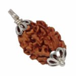 3 Mukhi Rudraksha