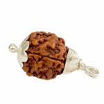 3 Mukhi Rudraksha