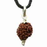 3 Mukhi Rudraksha