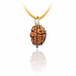 3 Mukhi Rudraksha