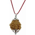 2 Mukhi Rudraksha