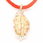 2 Mukhi Rudraksha