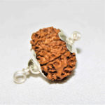 12 Mukhi Rudraksha