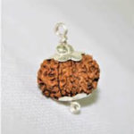 12 Mukhi Rudraksha