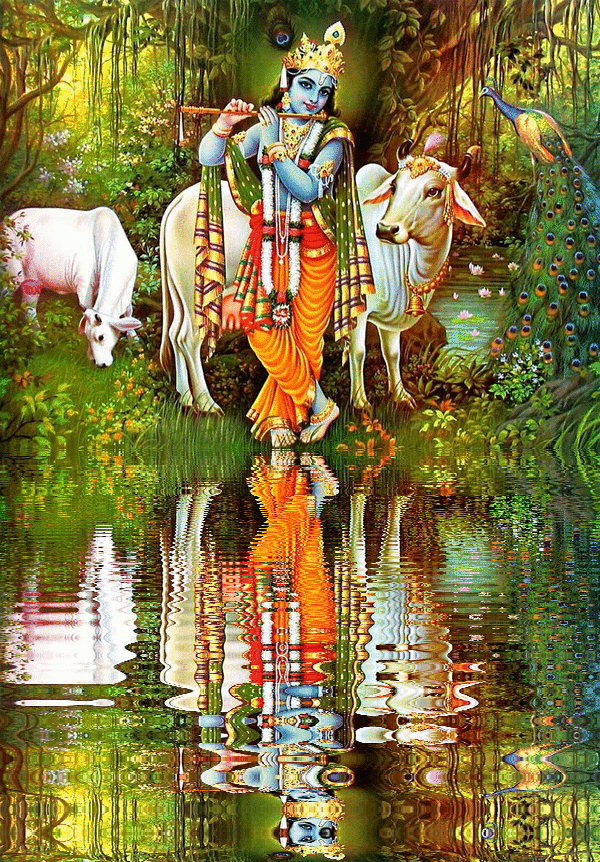 Lord Shri Krishna With Cow