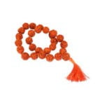 27 Nag Rudraksha Sumarni for Japa