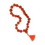 27 beads Rudraksha for chanting