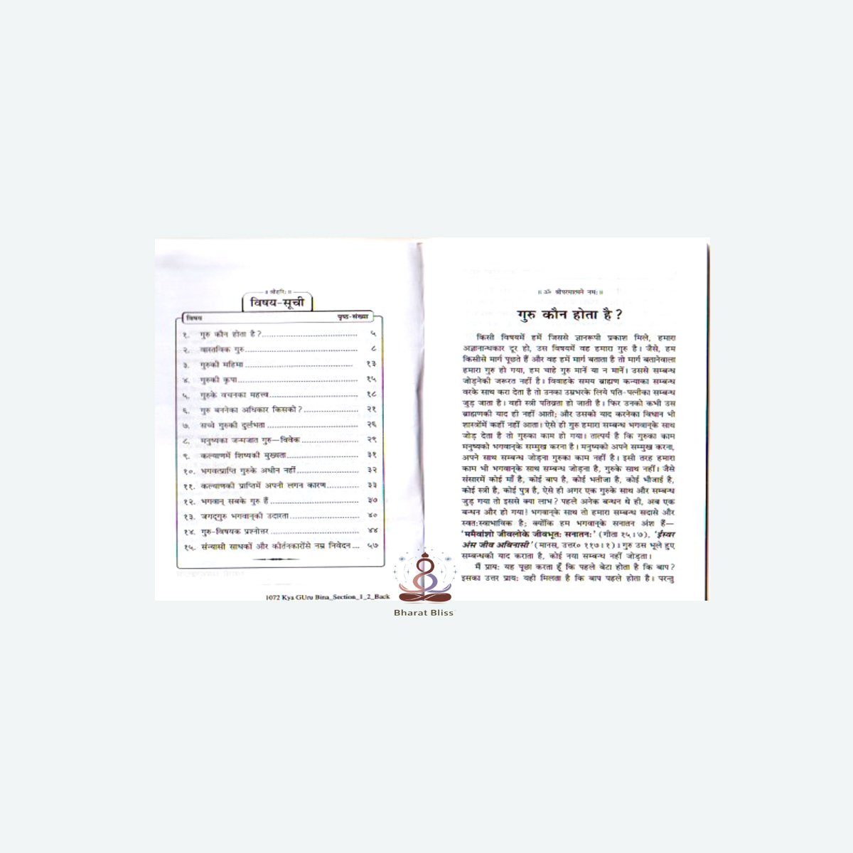 क्या गुरु बिना मुक्ति नहीं/ Kya Guru Bina Mukti Nahin?