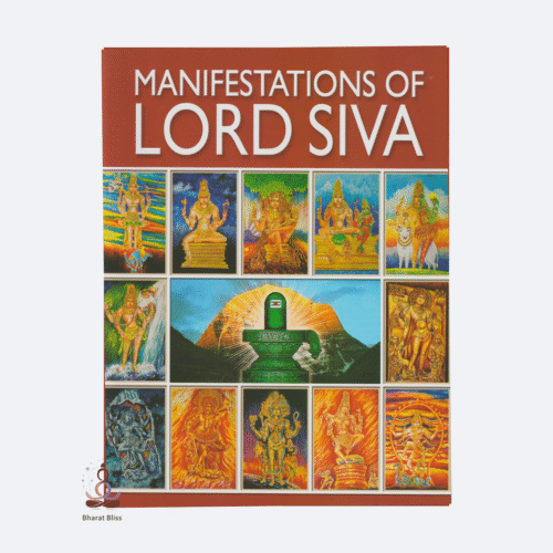 manifestations-of-lord-siva-1.png